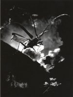 1er - Yvette Maréchal - Le grand insecte